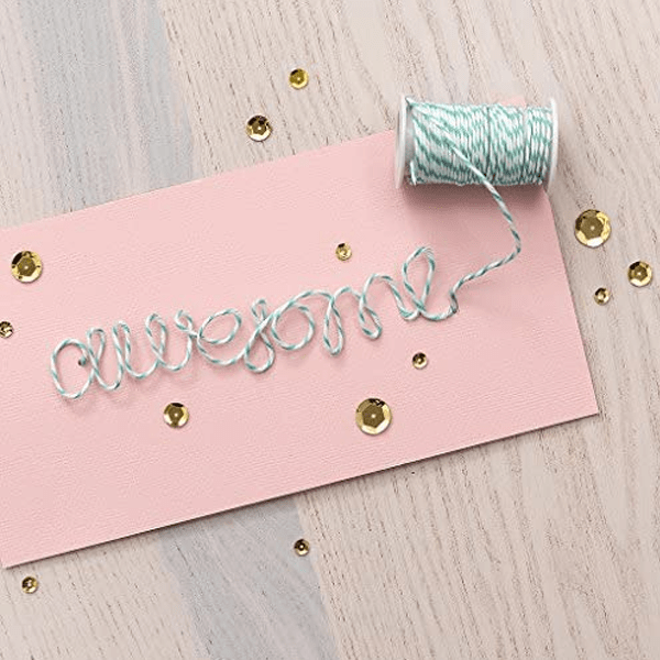 AMERICAN CRAFT BAKERS TWINE 24 PACK - Imagen 3